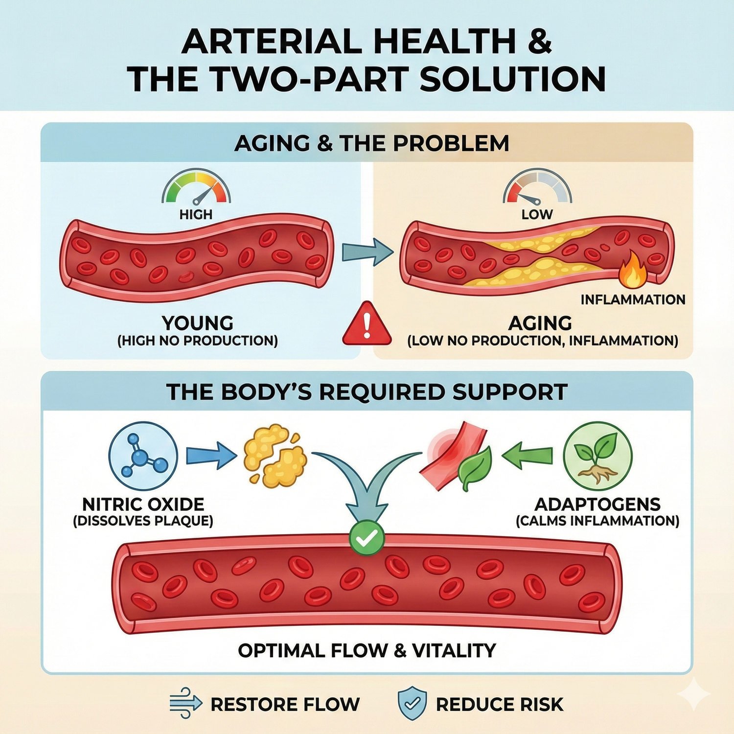Gemini Generated Image ha2h2jha2h2jha2h
